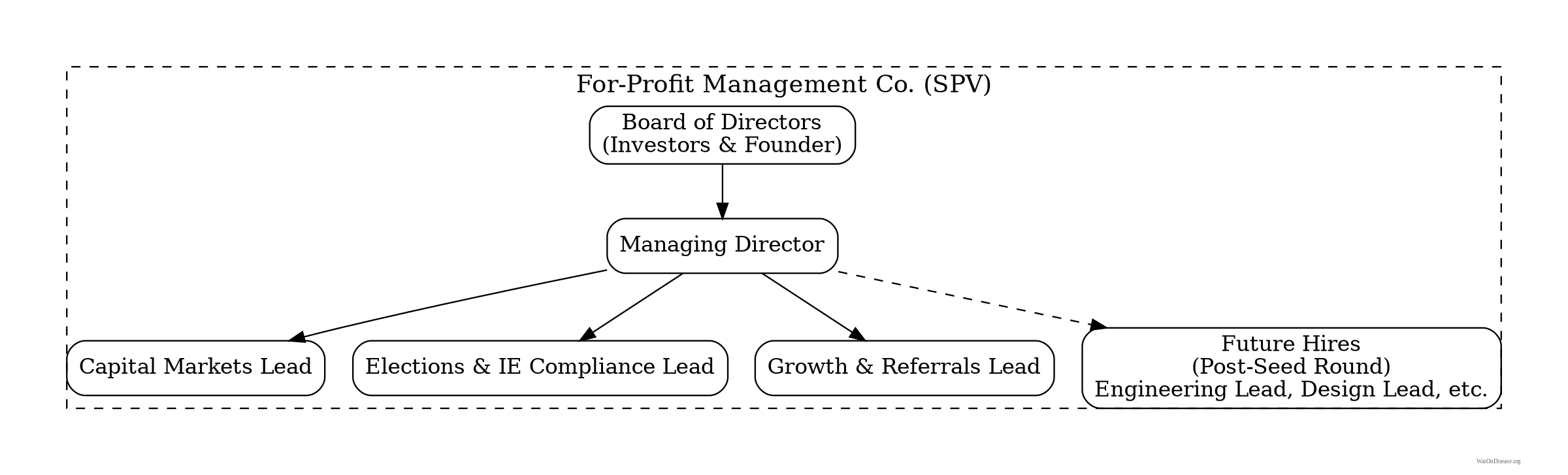 Organizational chart showing Board of Directors at top, Managing Director below, with three leads reporting: Capital Markets, Elections & IE Compliance, and Growth & Referrals. Future hires shown with dashed line.
